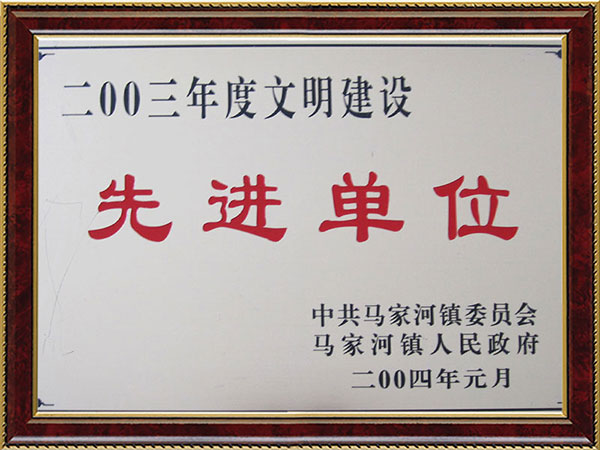 2003年度納稅先進單位 2003年度納稅先進單位